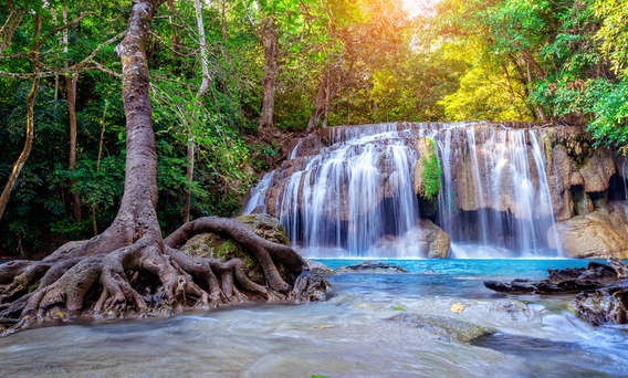 Cascada bonita Geobiología